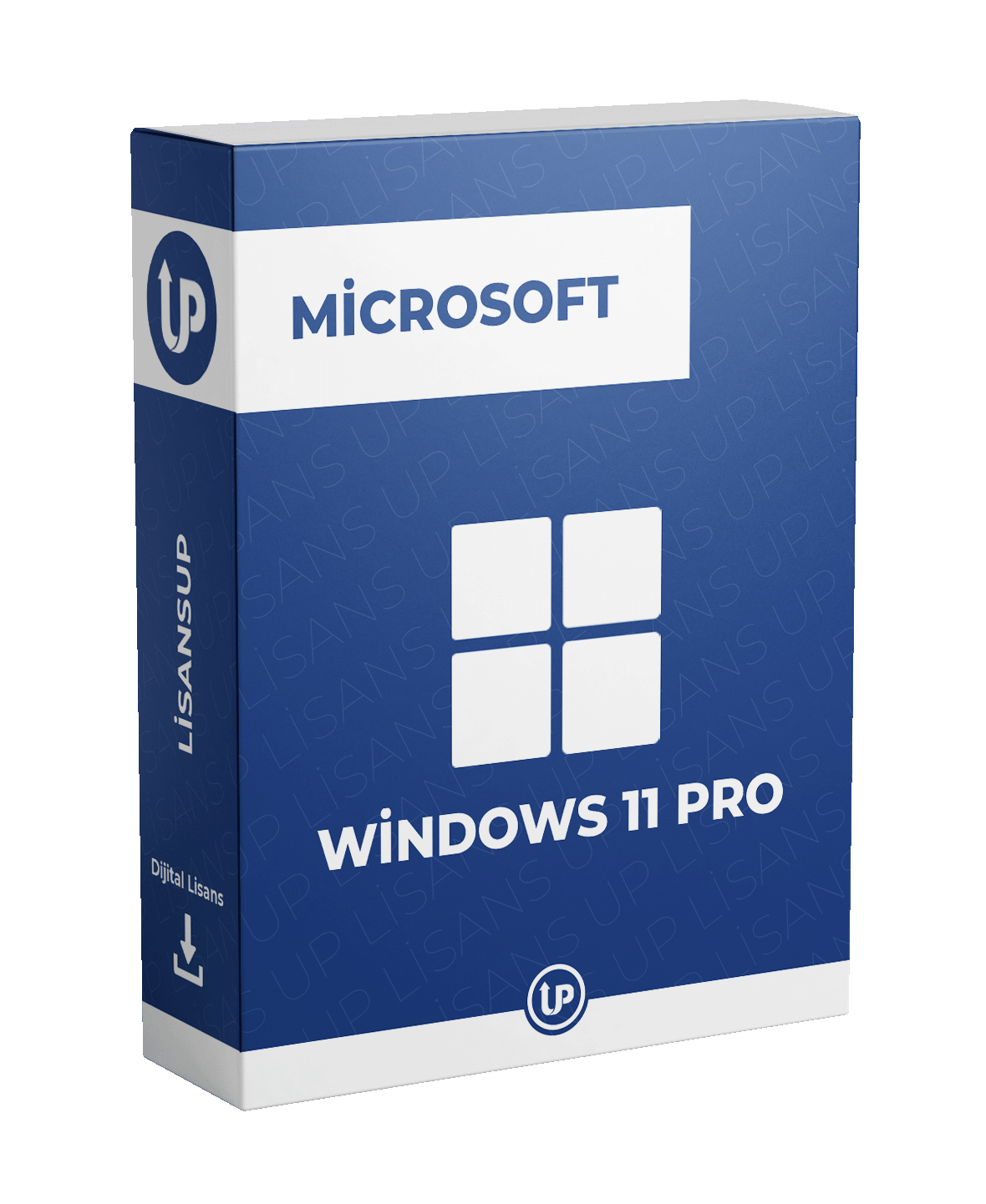 73 WIN 11 PRO