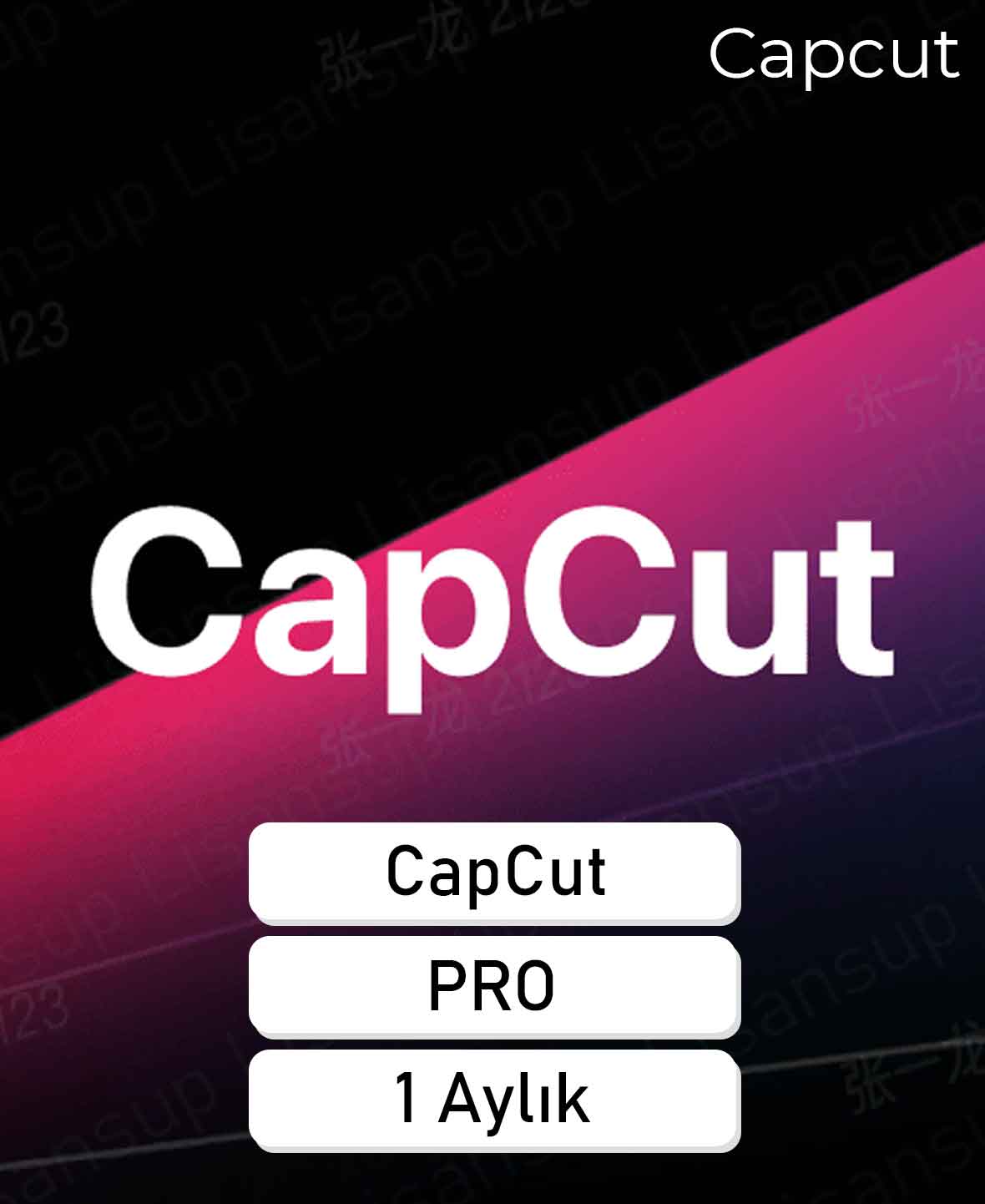 52 CapCut Pro Kişisel