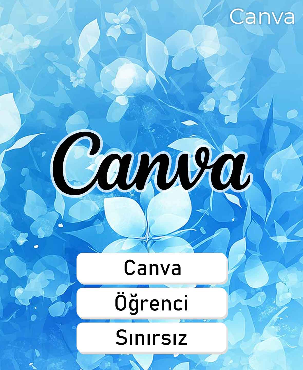 44 Canva Pro Öğrenci