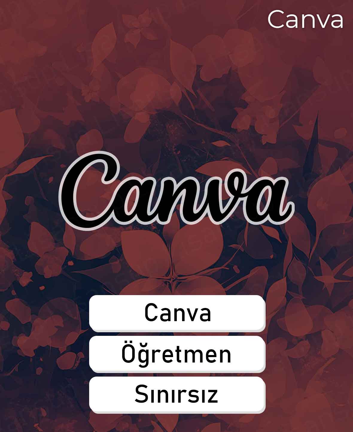 23 Canva Pro Öğretmen