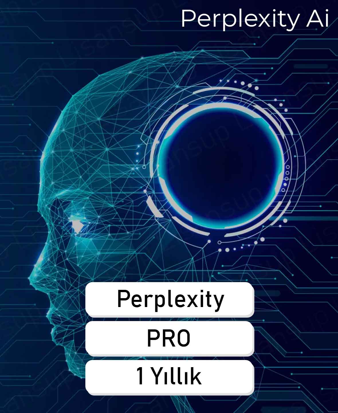 14 Perplexity Ai - 1 Yıllık