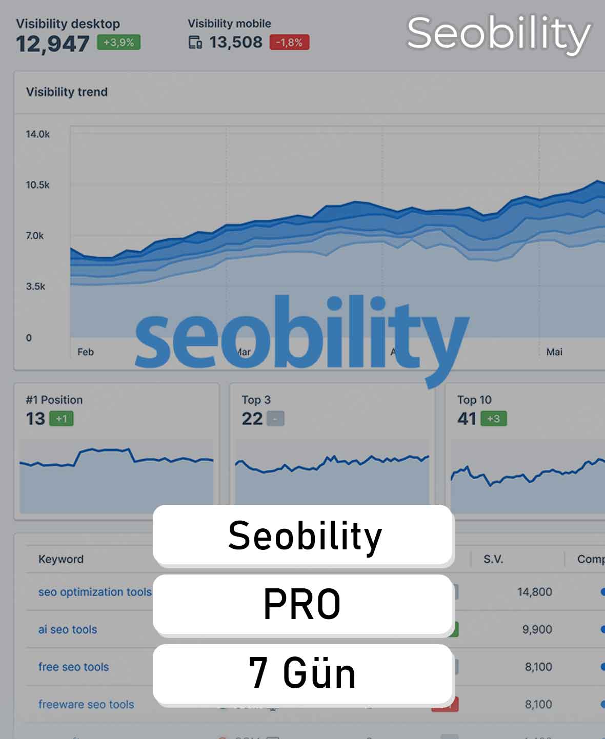 7 Seobility - 7 Günlük