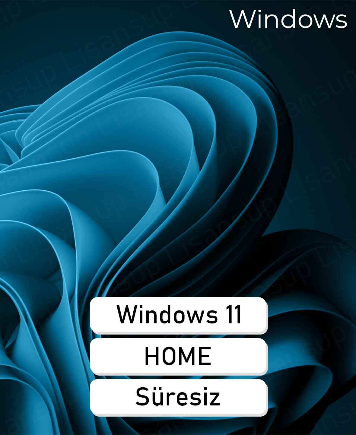 68 Windows 11 Home Retail Lisans