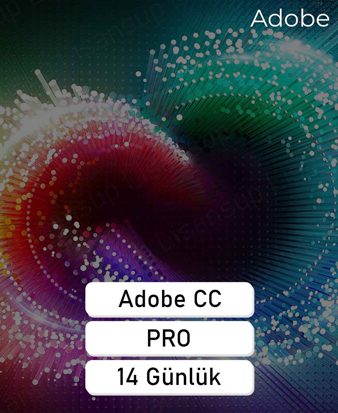 48 Adobe Creative Cloud 14 Gün