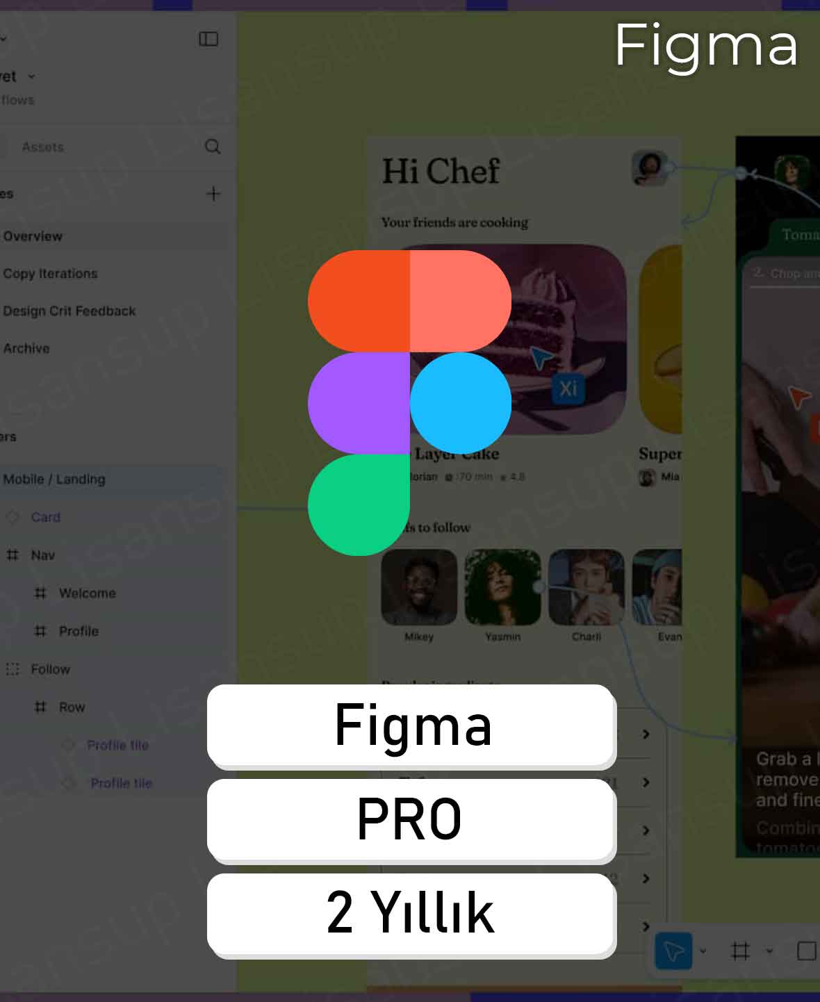 13 Figma Pro - 2 Yıllık