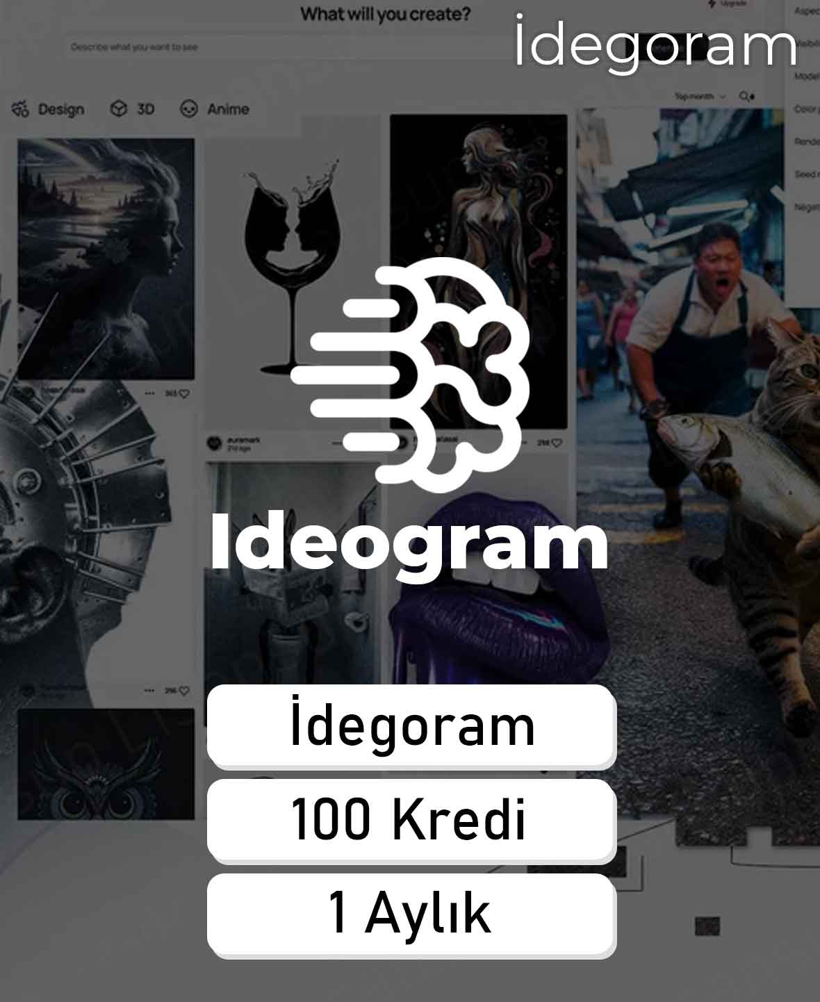 10 İdegoram - 100 Kredi