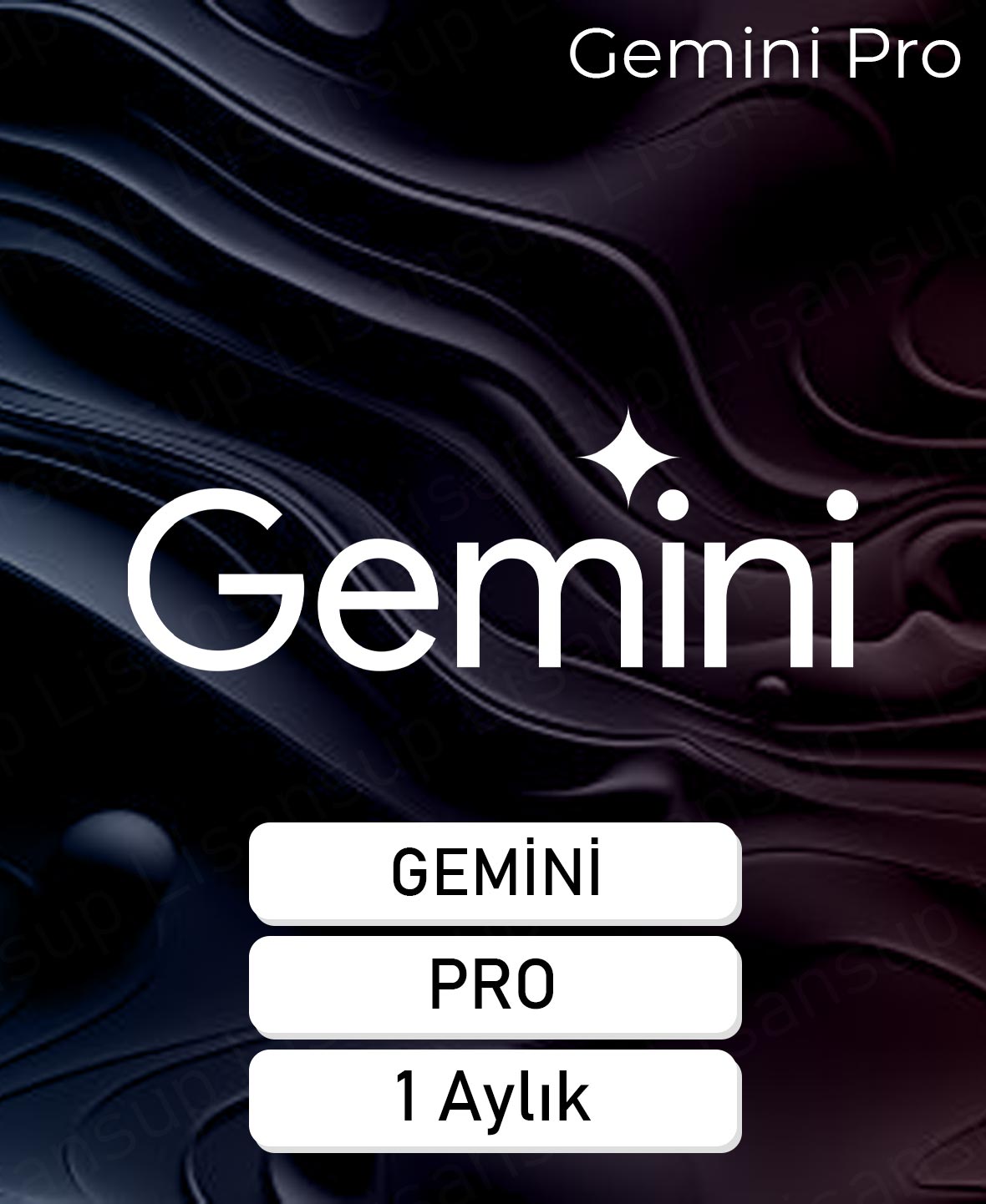 Gemini Pro & Veo3 - 1 Aylık