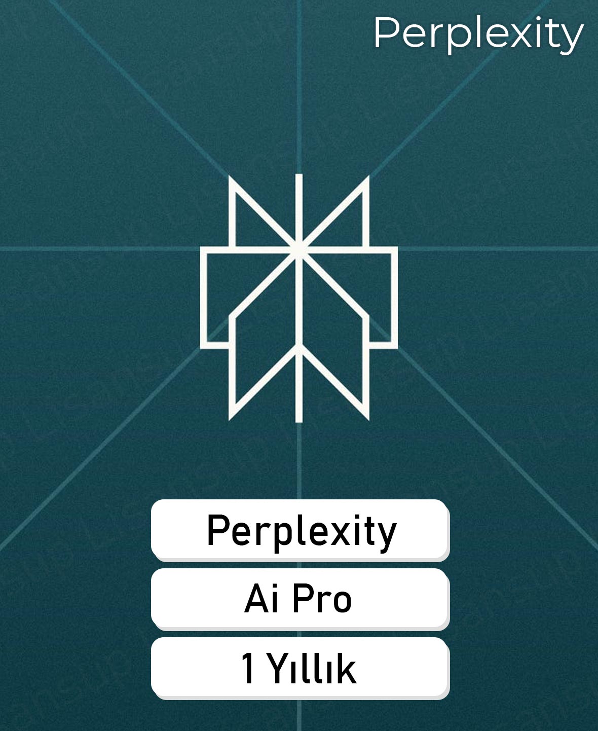 Perplexity Pro - 1 Yıllık