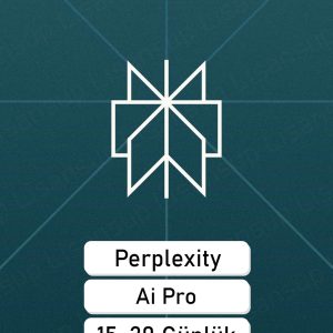 Perplexity Pro