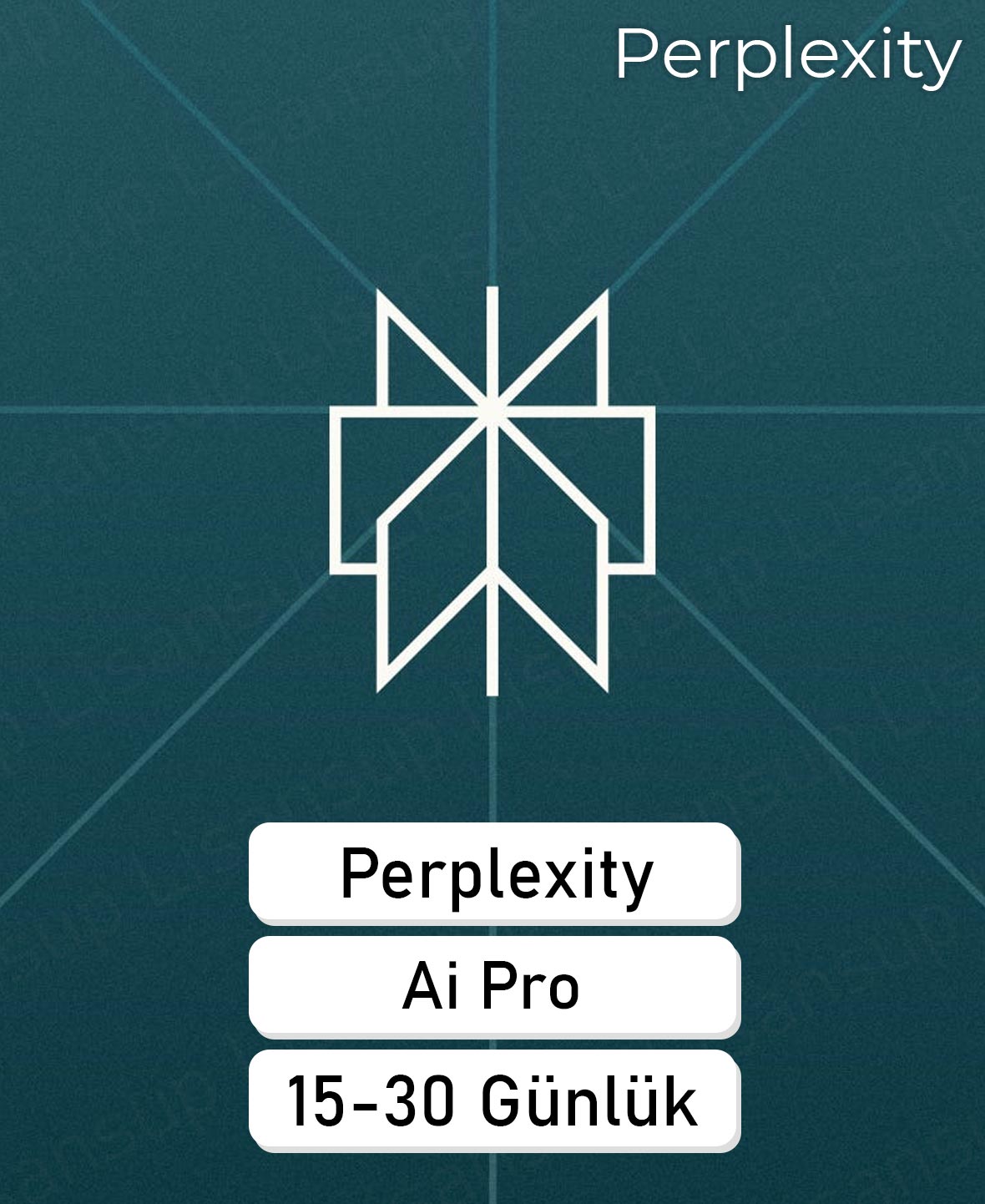 Perplexity Pro