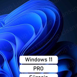 Windows 11 Pro