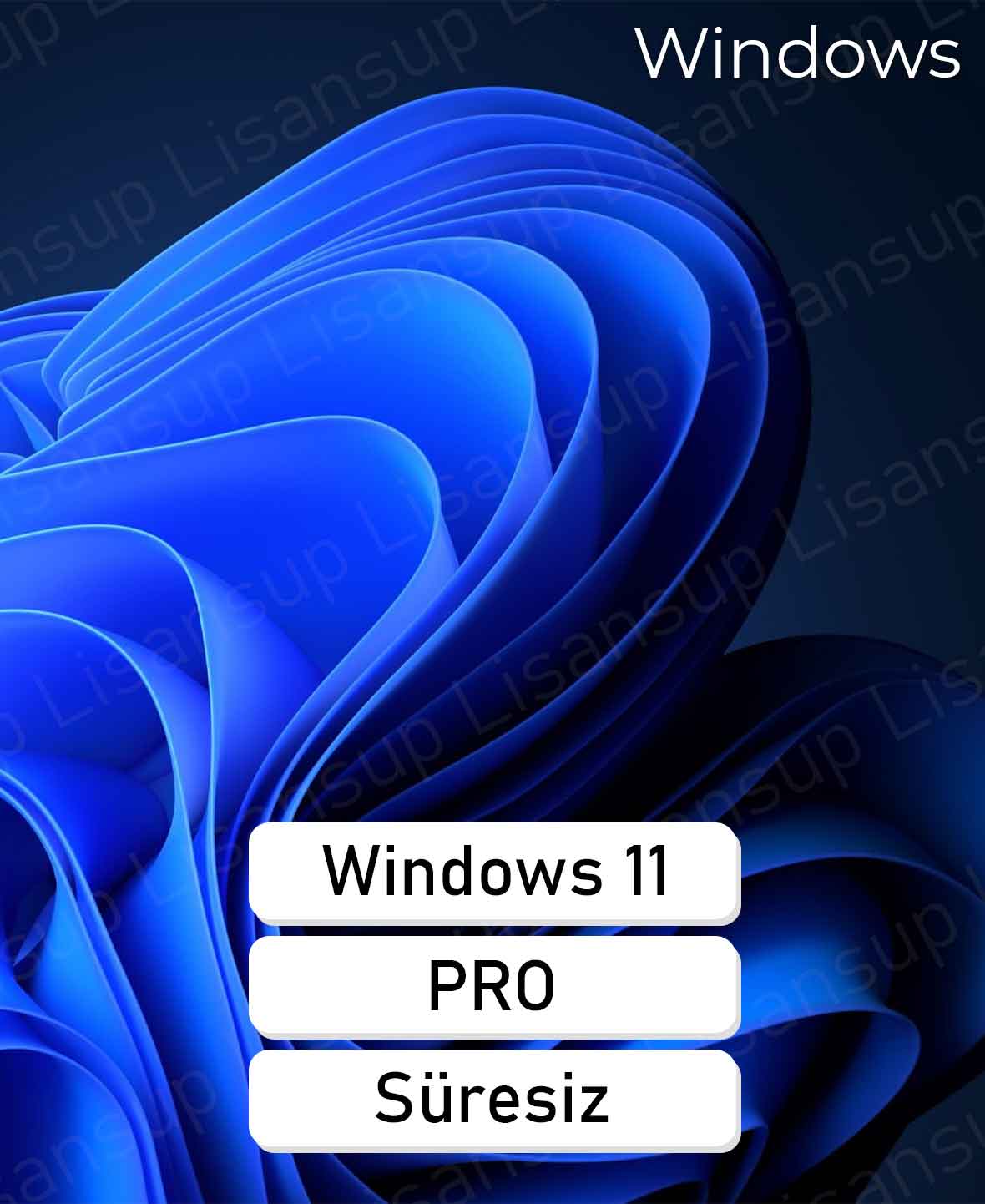 Windows 11 Pro