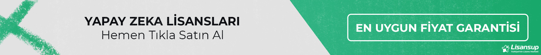 YAPAY ZEKA LISANSLARI 1