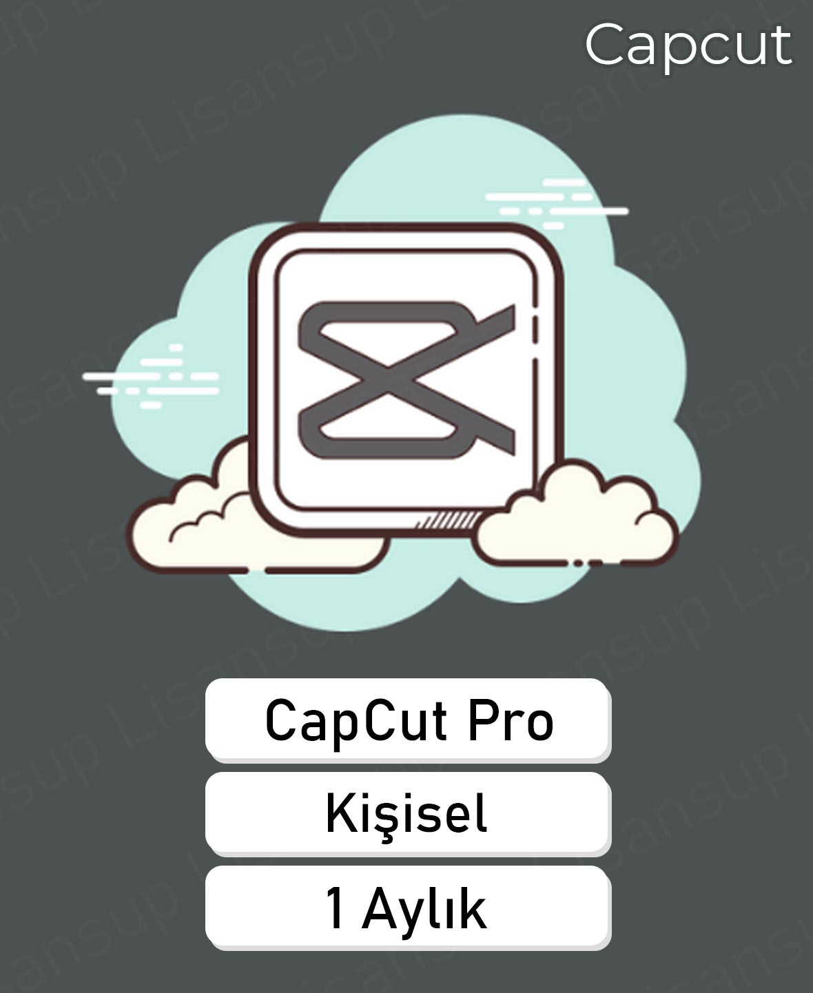 Capcut Pro - 1 Aylık