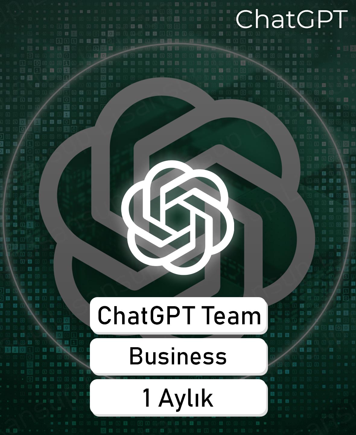 ChatGPT Kişisel - 1 Aylık