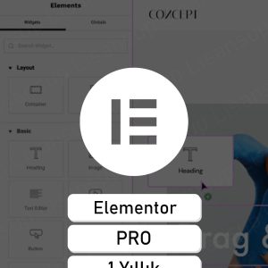 Elementor Pro