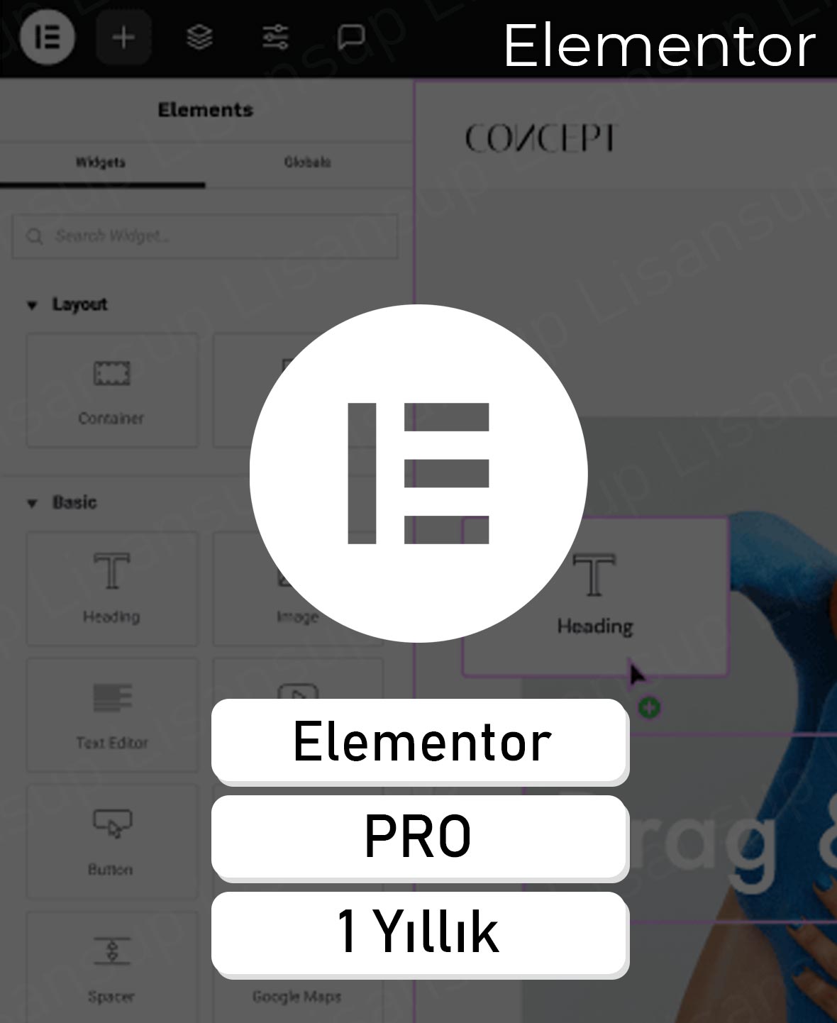 Elementor Pro