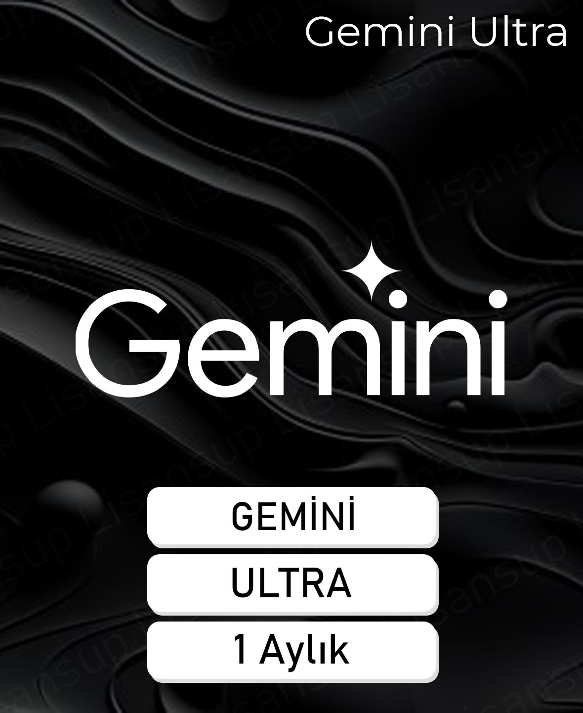 Gemini ULTRA - 1 Aylık